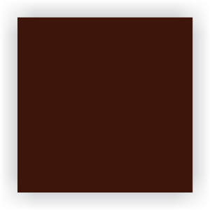 Cor_Bronze 1003