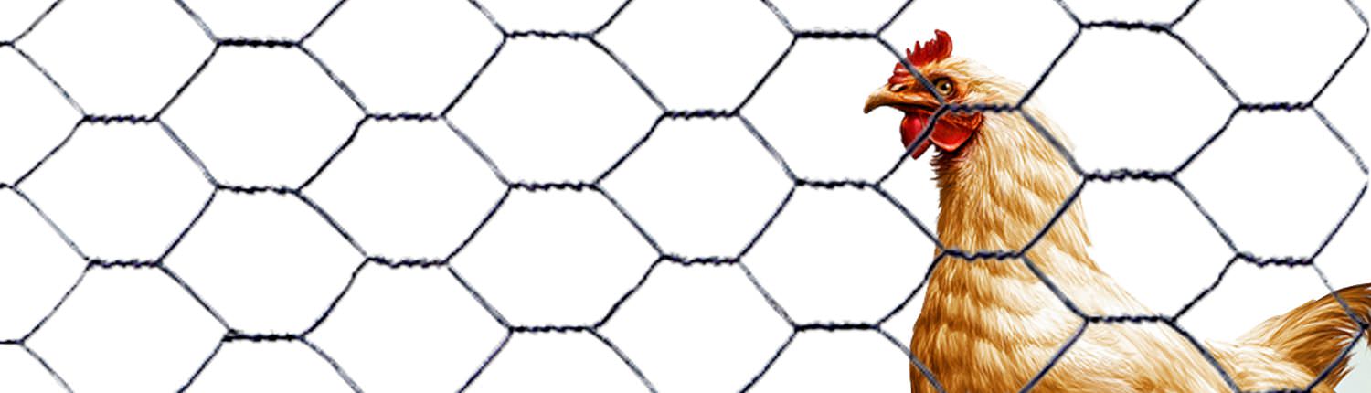 Hexagonal