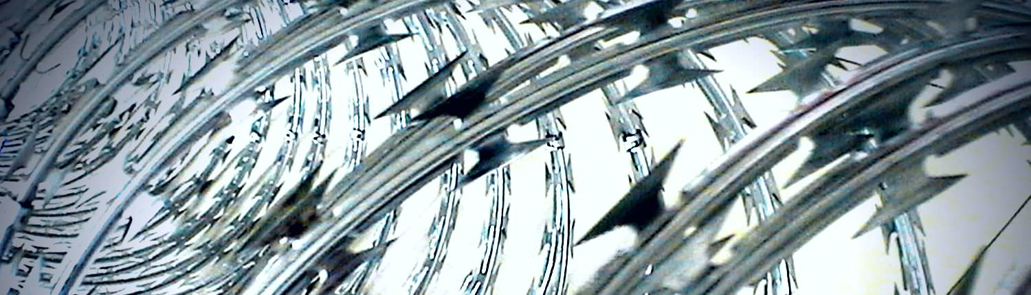 Concertina